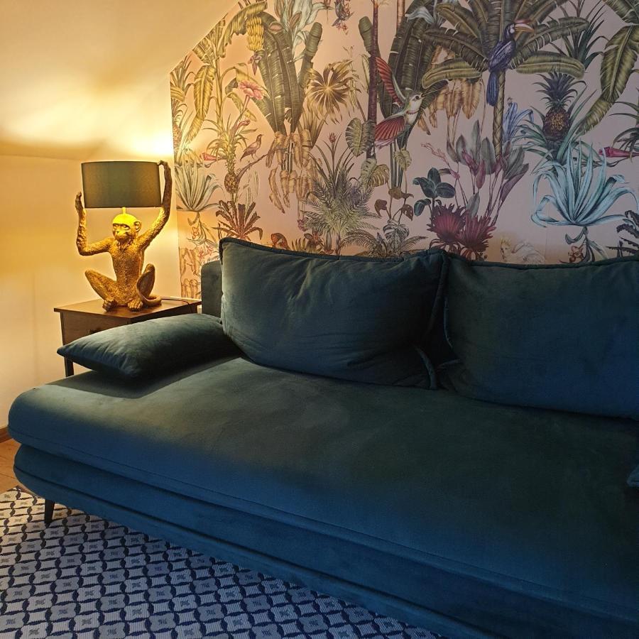 Fit Paradise Apartman 米什科尔茨 外观 照片